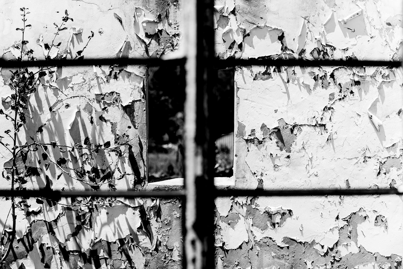 Peeling paint on a wall with a grid pattern shot at Haarlem, South Africa.
