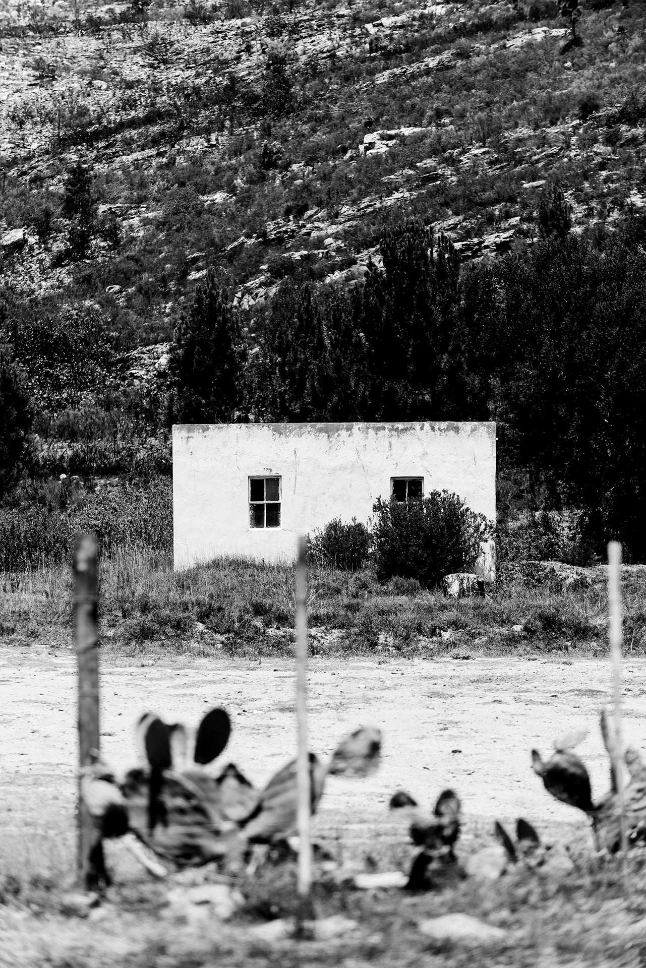 Small white building in a desert landscape with cacti and mountains.