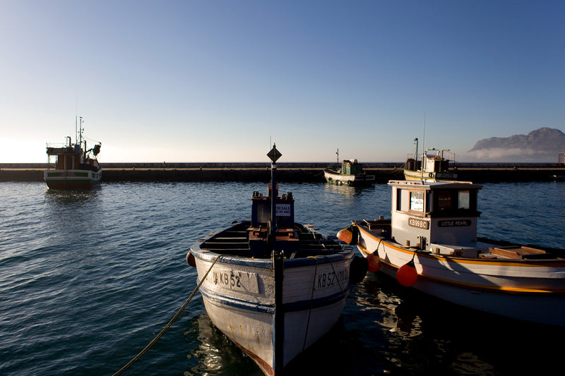 Kalk bay harbour, and old fishing boats.