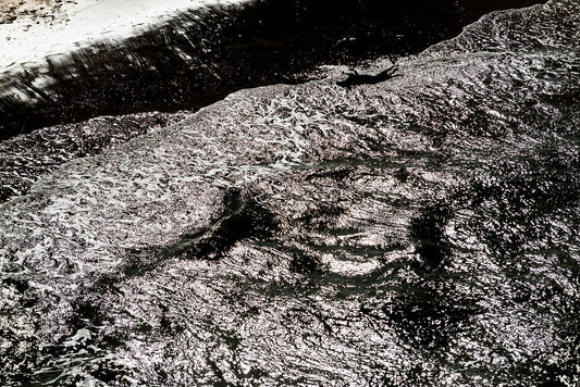 Dramatic landscape image of a dog running through the shallow water at Scheveningen