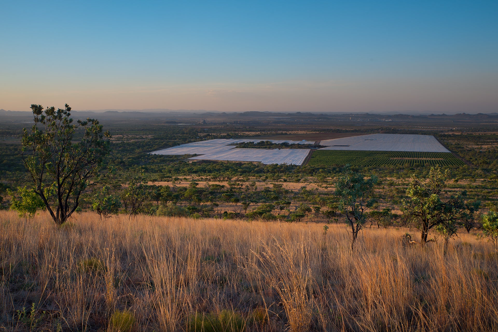 Farm Reportage for OzBlu - 3