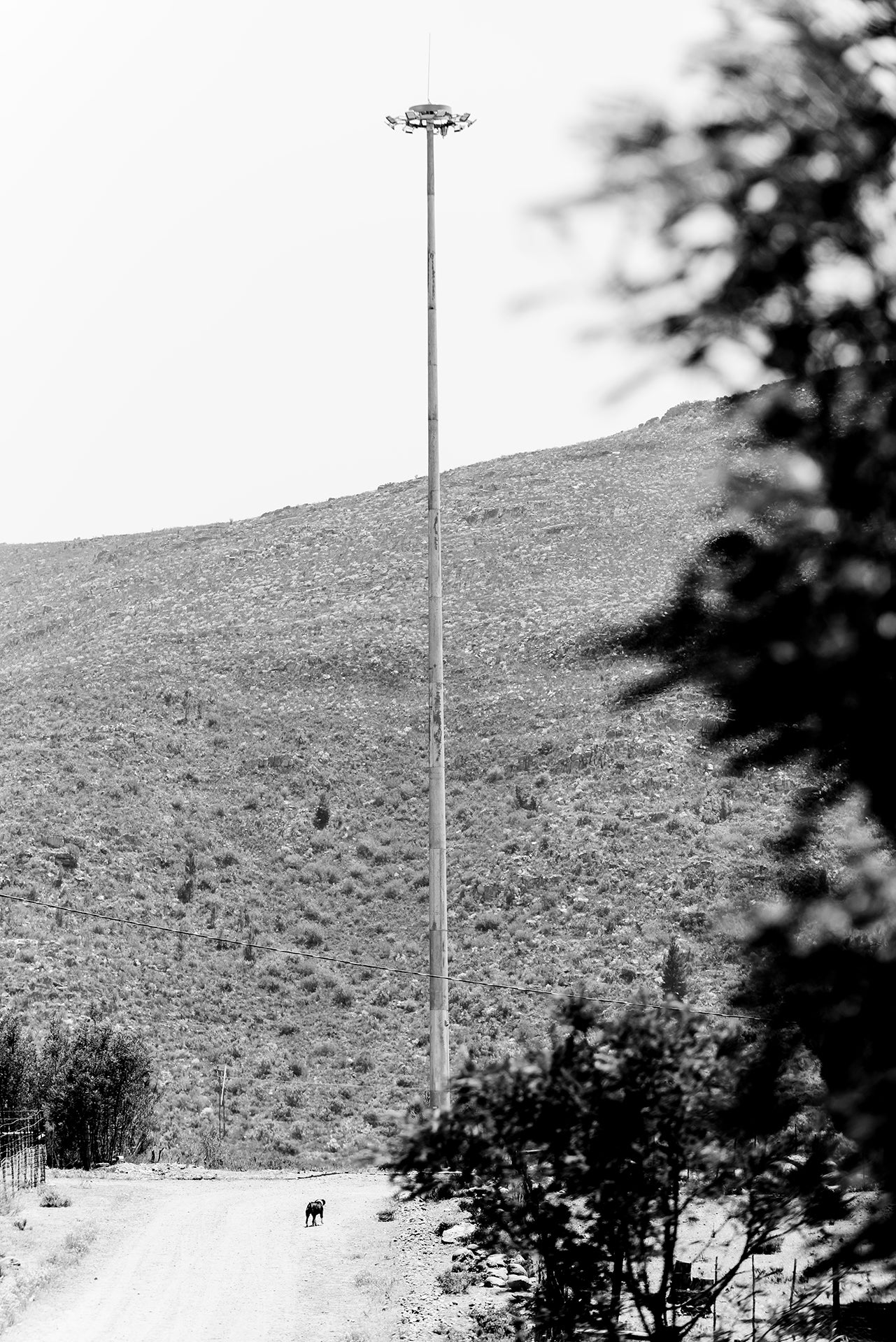 Haarlem, South Africa