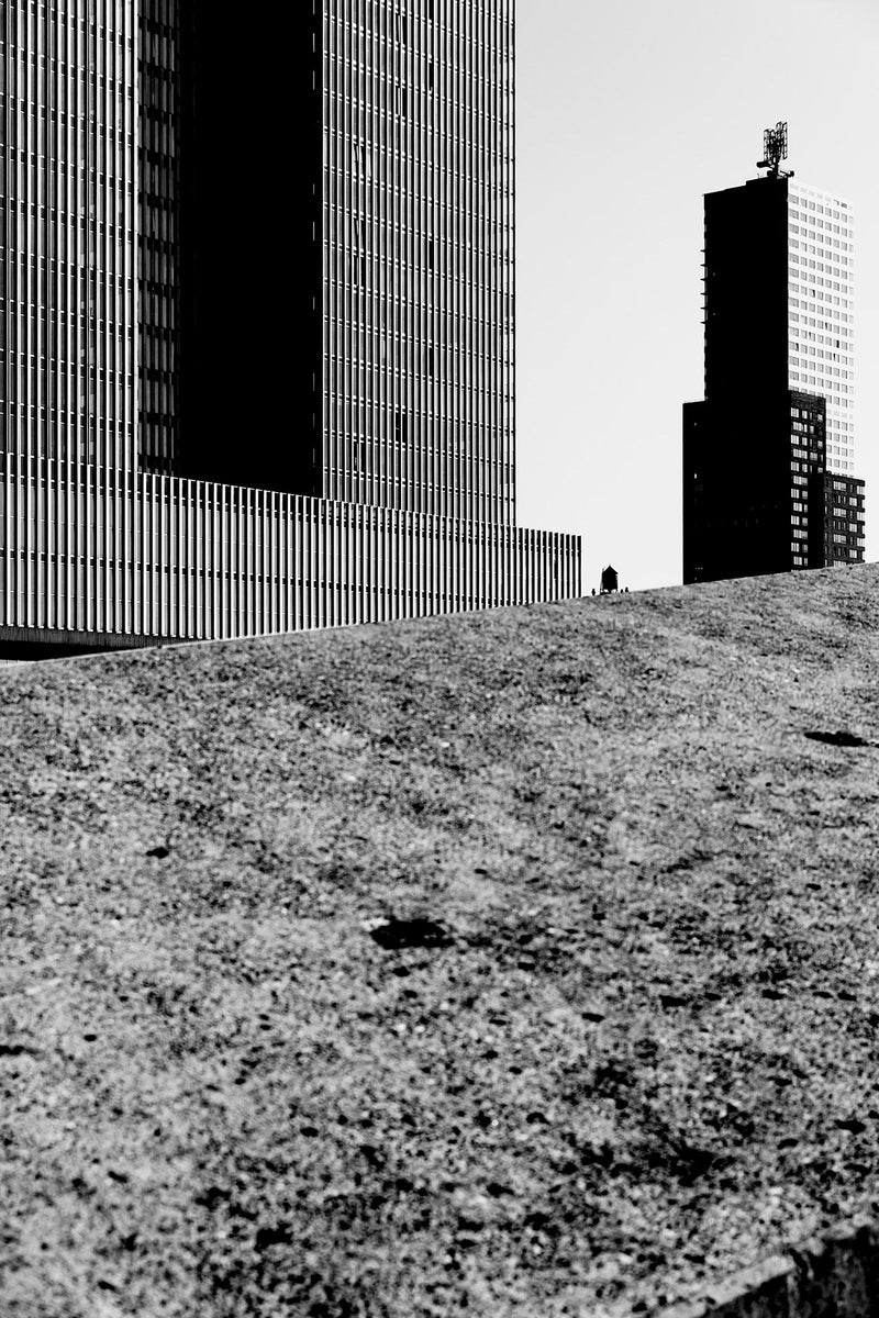 A cityscape shot in Rotterdam