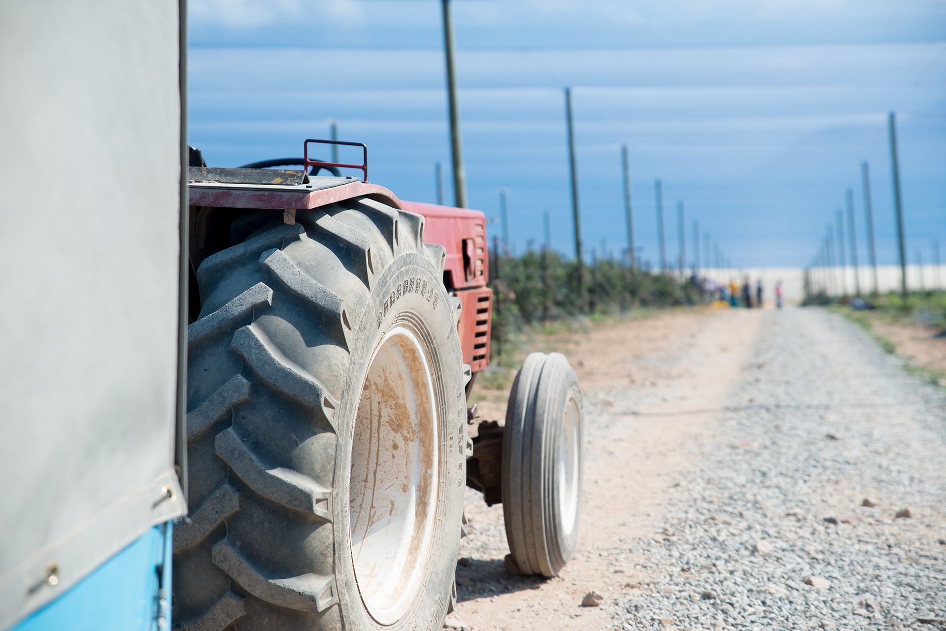 Farm Reportage for OzBlu - 4