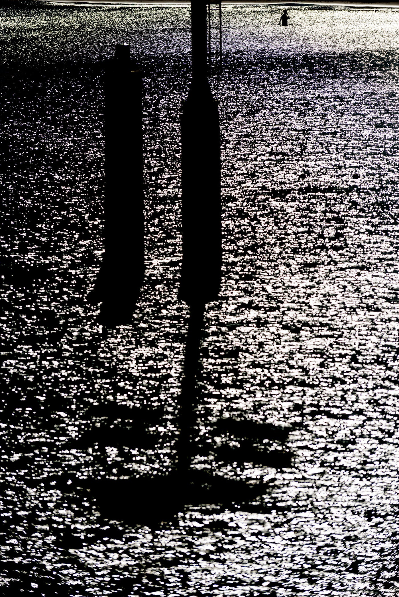 Photography Projects