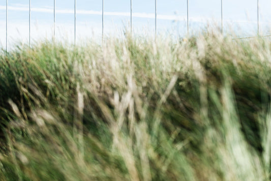 Grasses and flagpoles captured at Scheveningen in this fine art print.