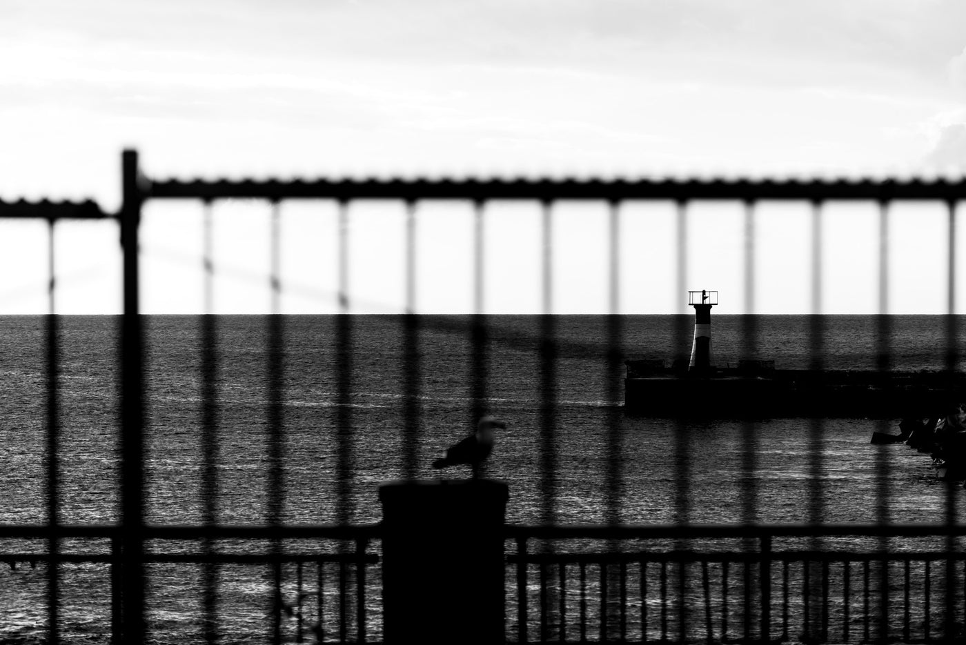 Black and white photograph of a seagull perched on a railing at Kalk Bay, with a lighthouse and open sea in the background.