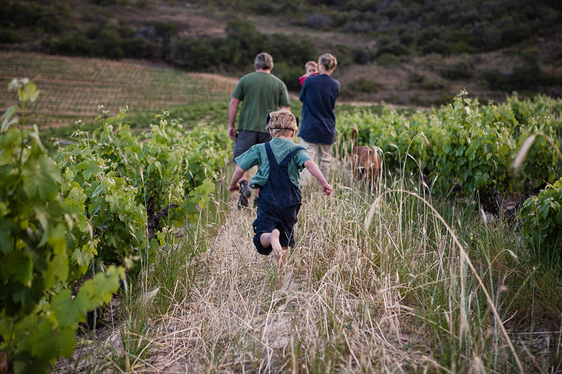 Family walking in the vineyards.