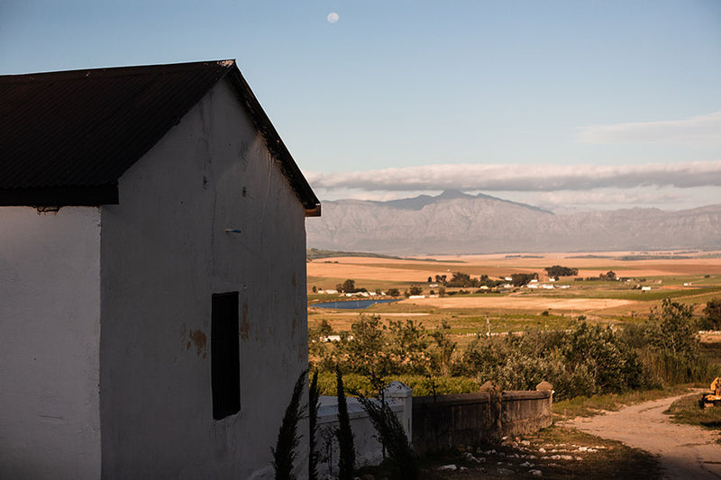 Old farmhouse in the Western Cape.