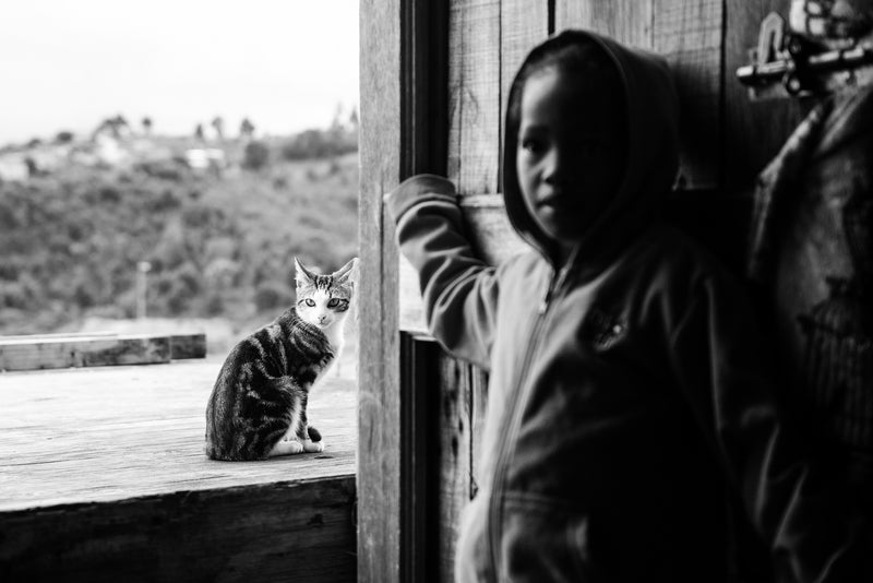 A young boy and a cat in a South African township.