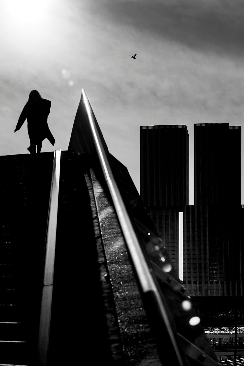 Erasmusbrug 5 | Rotterdam Street Photography